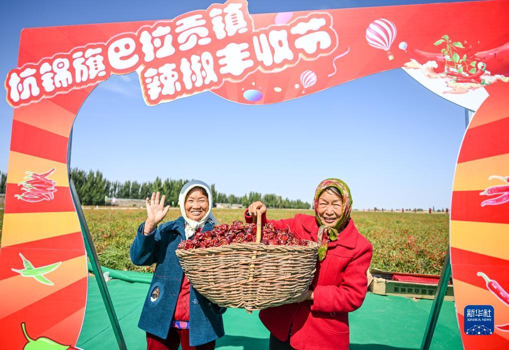 mg账号中心